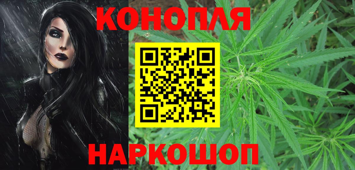 Шишки марихуана гибрид  Бошки марихуана планчик  Вход с VPN  Знаменск  Канабис сатива 